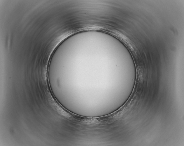 X0000111921186200908101215