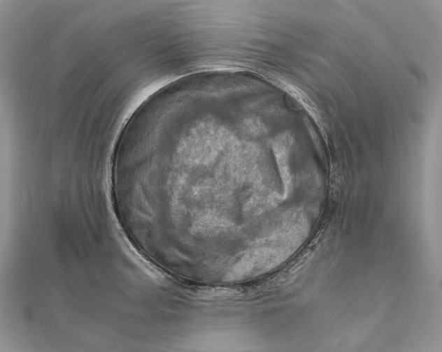 X0000111921187200908101215