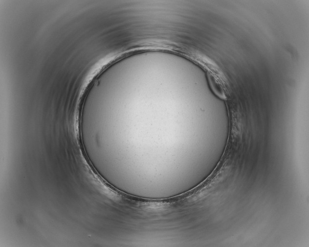 X0000111921188200908101215