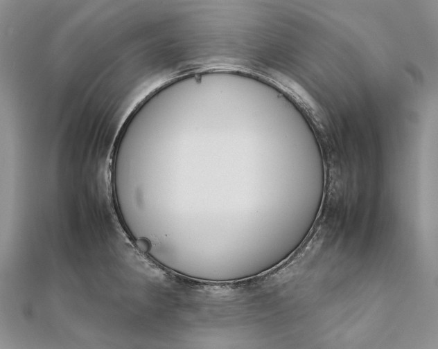 X0000111921190200908101215