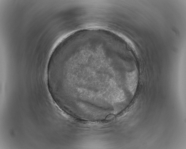 X0000111921191200908101215