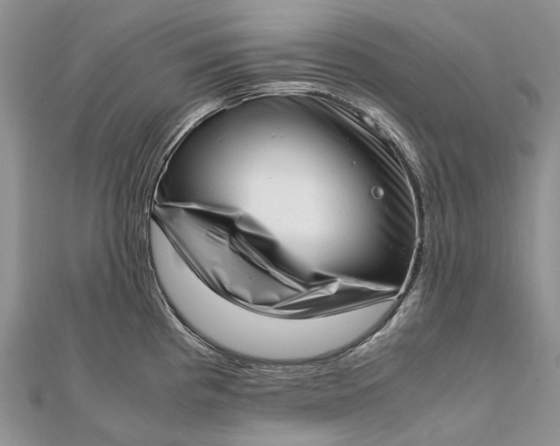 X0000111921193200908101215