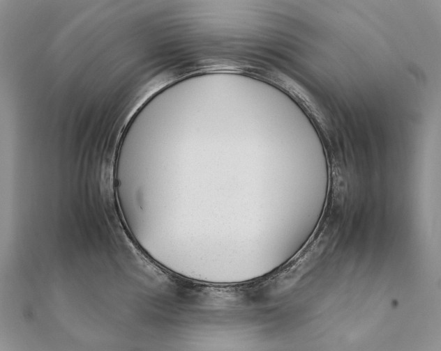 X0000111921194200908101215