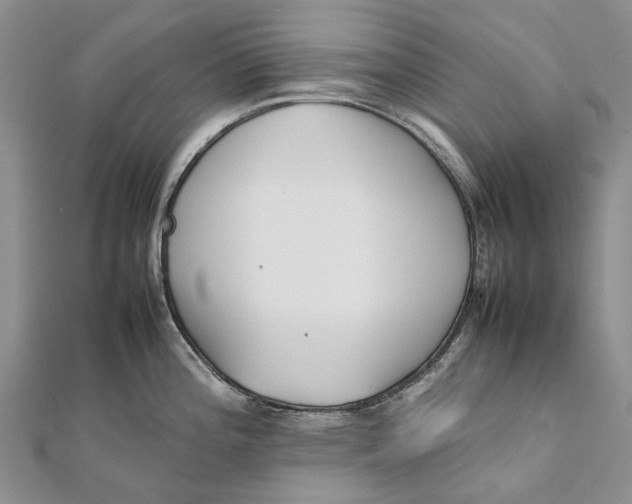 X0000111921196200908101215