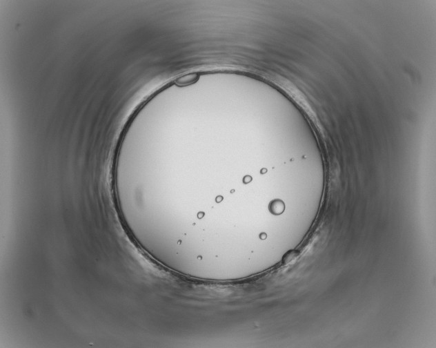 X0000111921197200908101215