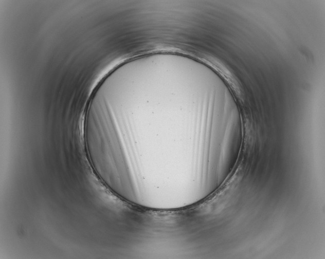 X0000111921198200908101215