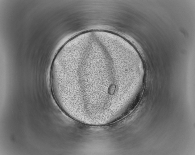 X0000111921199200908101215