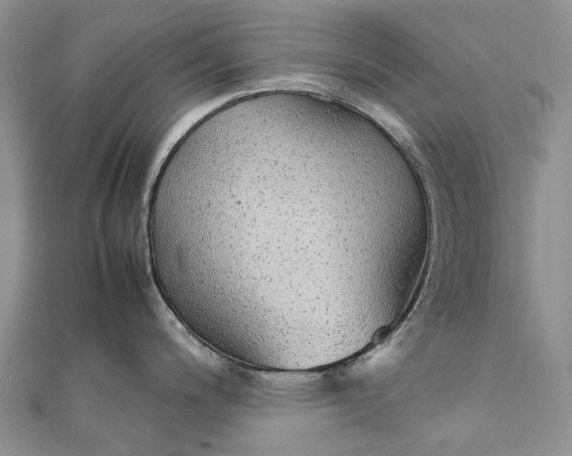 X0000111921200200908101215