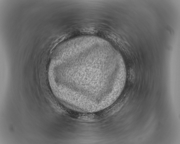 X0000111921201200908101214