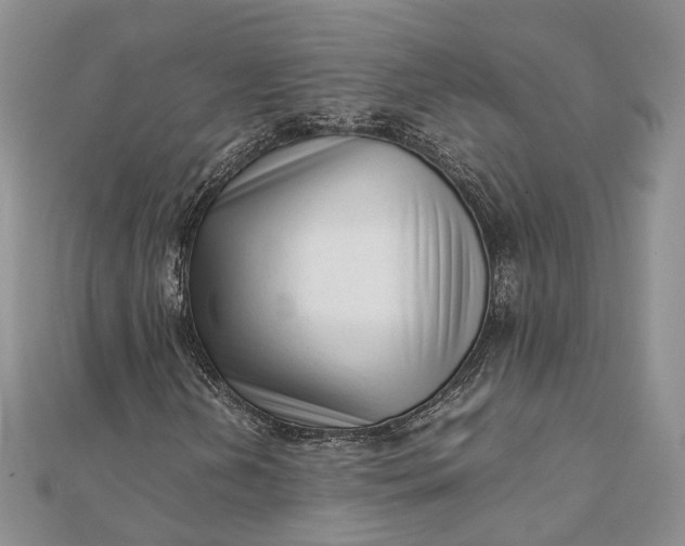 X0000111921202200908101214