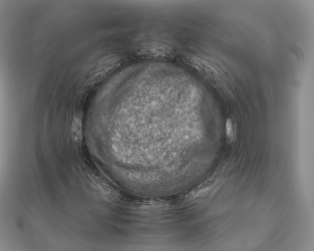 X0000111921203200908101214