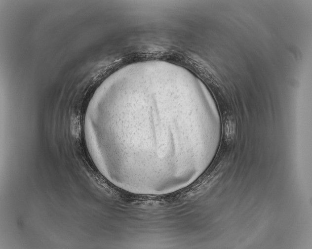 X0000111921204200908101214