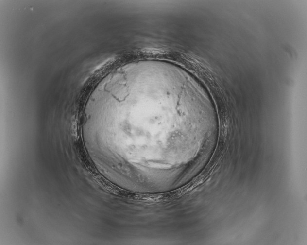 X0000111921205200908101214