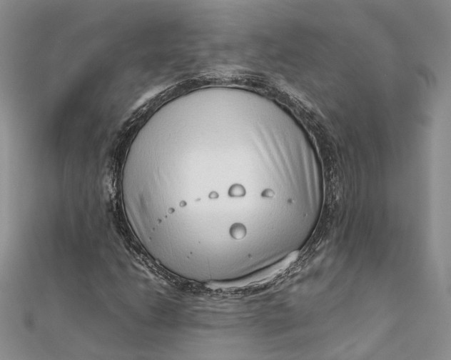 X0000111921206200908101214