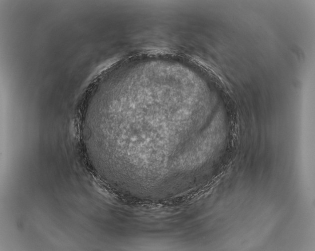 X0000111921207200908101214