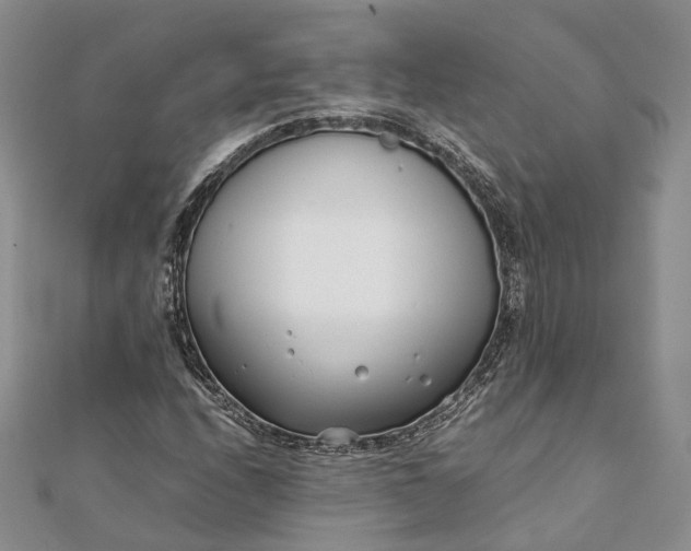 X0000111921208200908101214