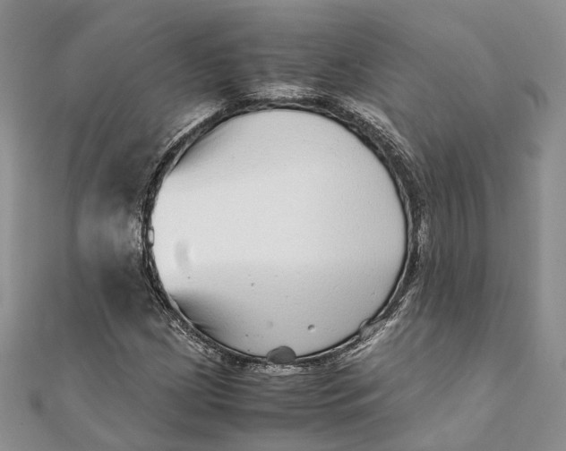 X0000111921209200908101214