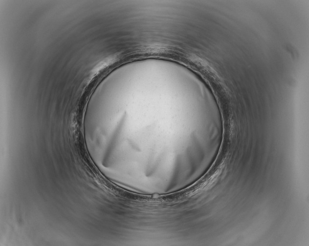 X0000111921210200908101214