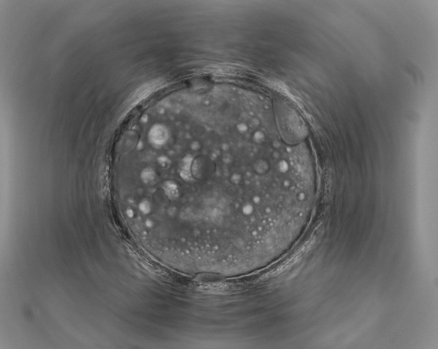 X0000111921211200908101214