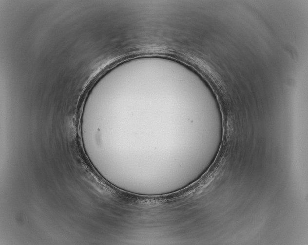 X0000111921212200908101214