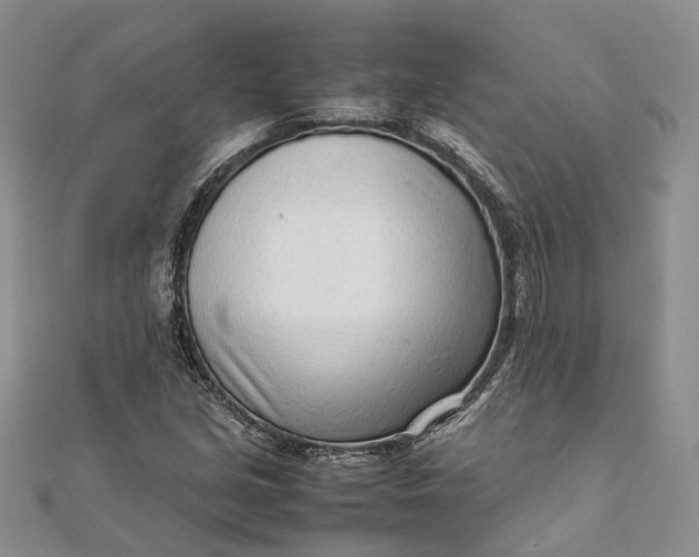 X0000111921213200908101214