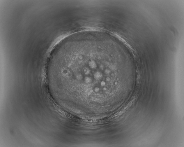 X0000111921215200908101214