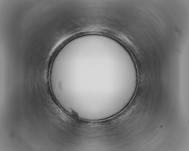 X0000111921216200908101214