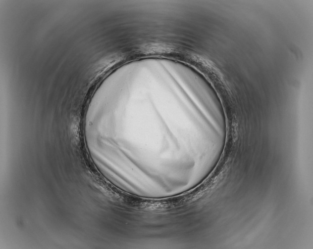 X0000111921217200908101214