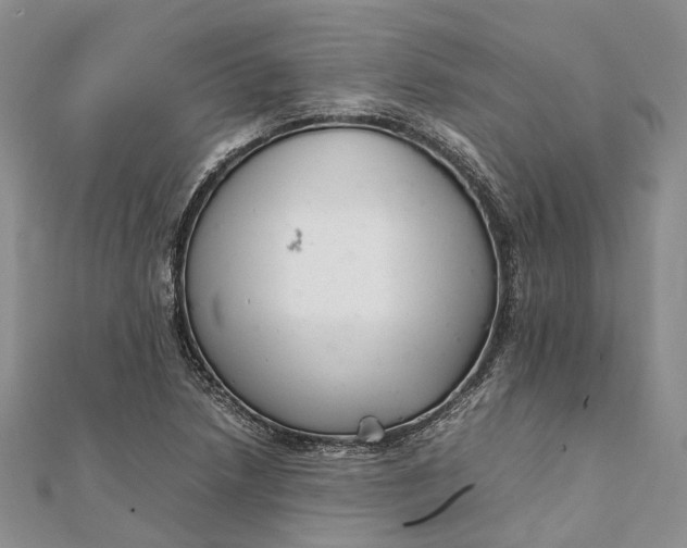 X0000111921218200908101214