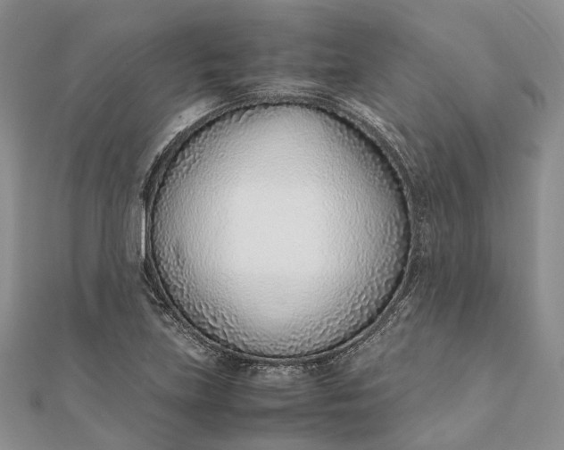 X0000111921219200908101214