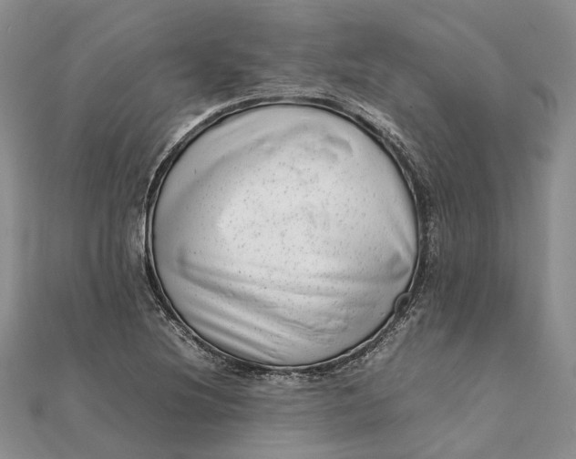 X0000111921220200908101214