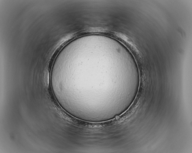 X0000111921221200908101214