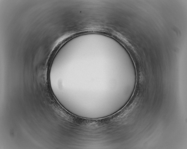 X0000111921222200908101214