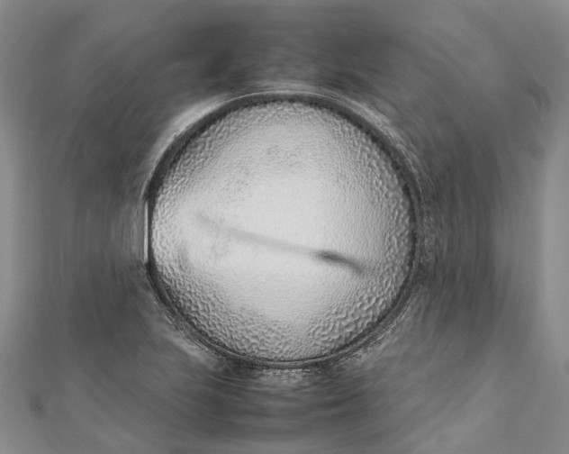 X0000111921223200908101214