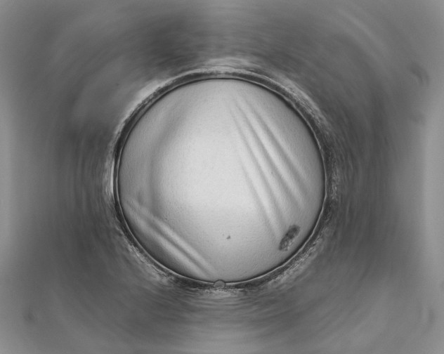 X0000111921224200908101214