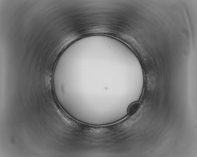 X0000111921225200908101214