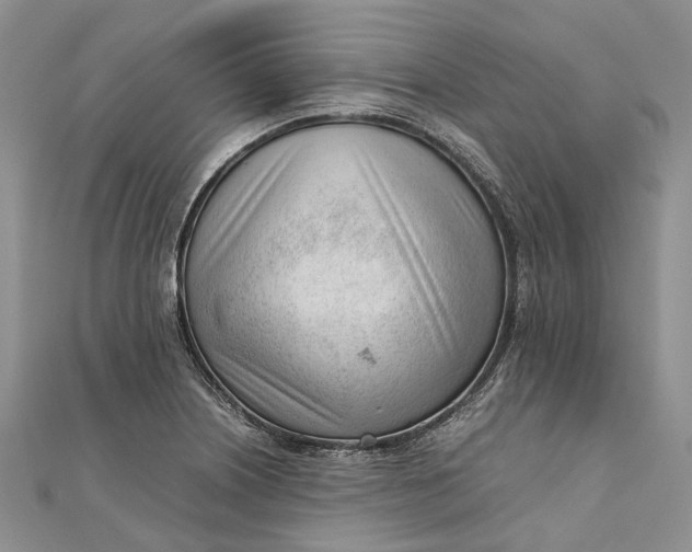 X0000111921226200908101214