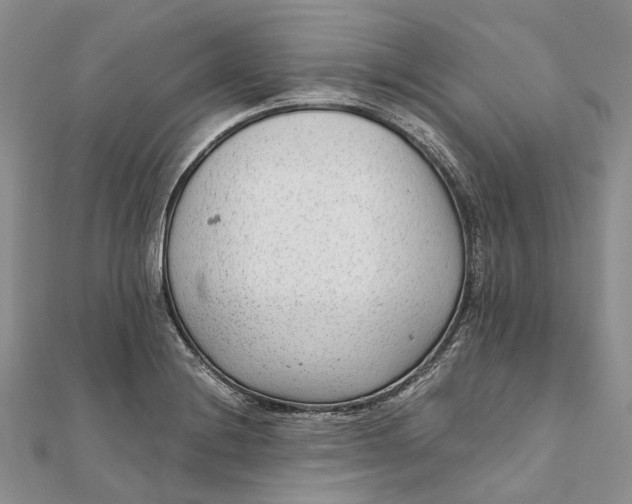 X0000111921228200908101214