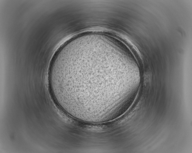 X0000111921229200908101214