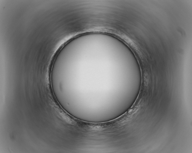 X0000111921230200908101214