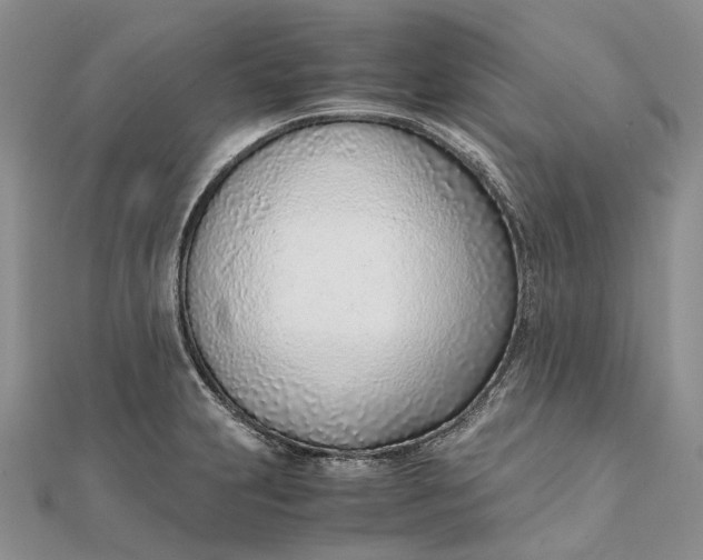 X0000111921231200908101214