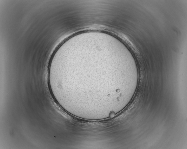 X0000111921232200908101214