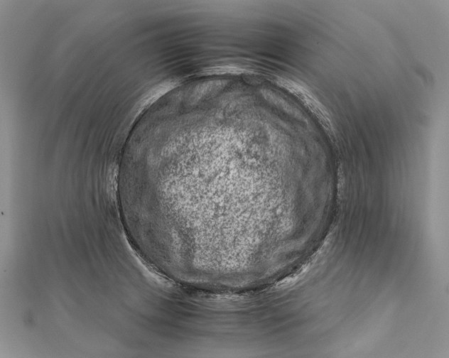 X0000111921233200908101214