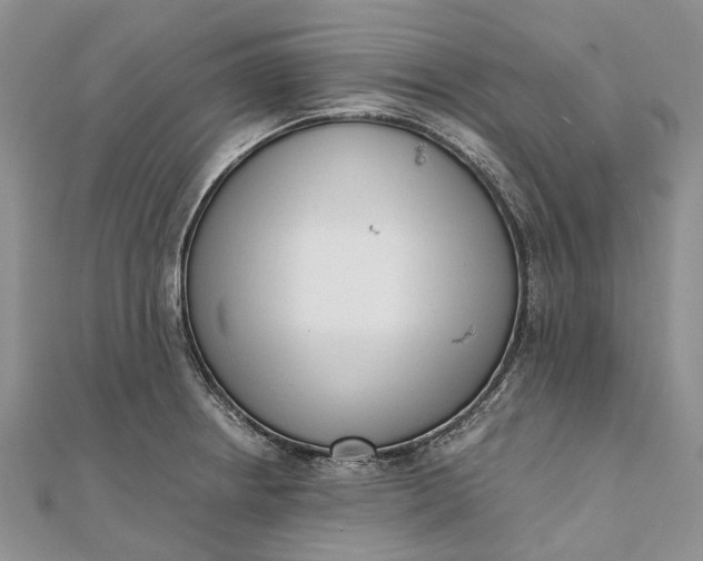 X0000111921234200908101214