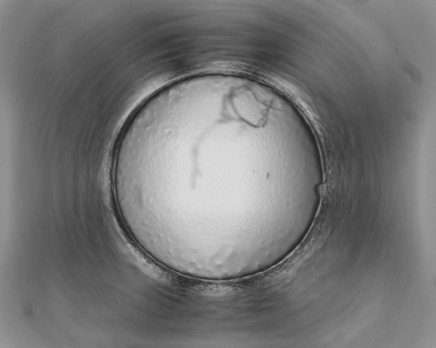 X0000111921235200908101214