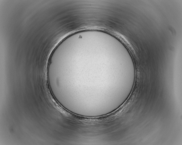 X0000111921236200908101214