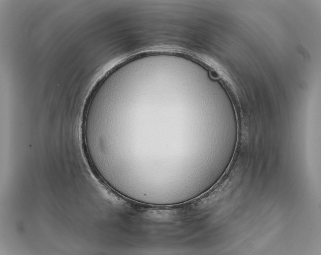 X0000111921237200908101214