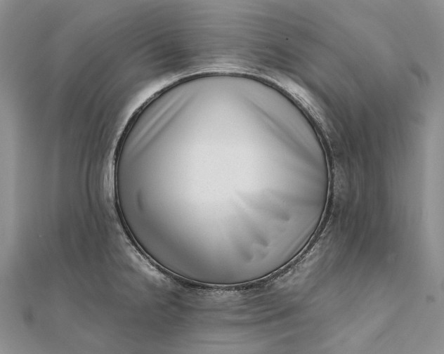 X0000111921238200908101214