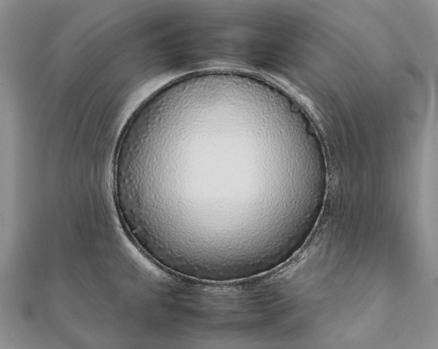 X0000111921239200908101214