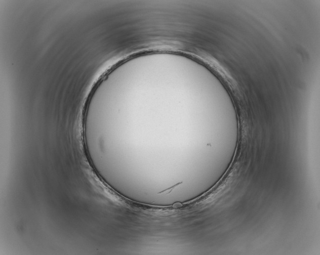 X0000111921240200908101214